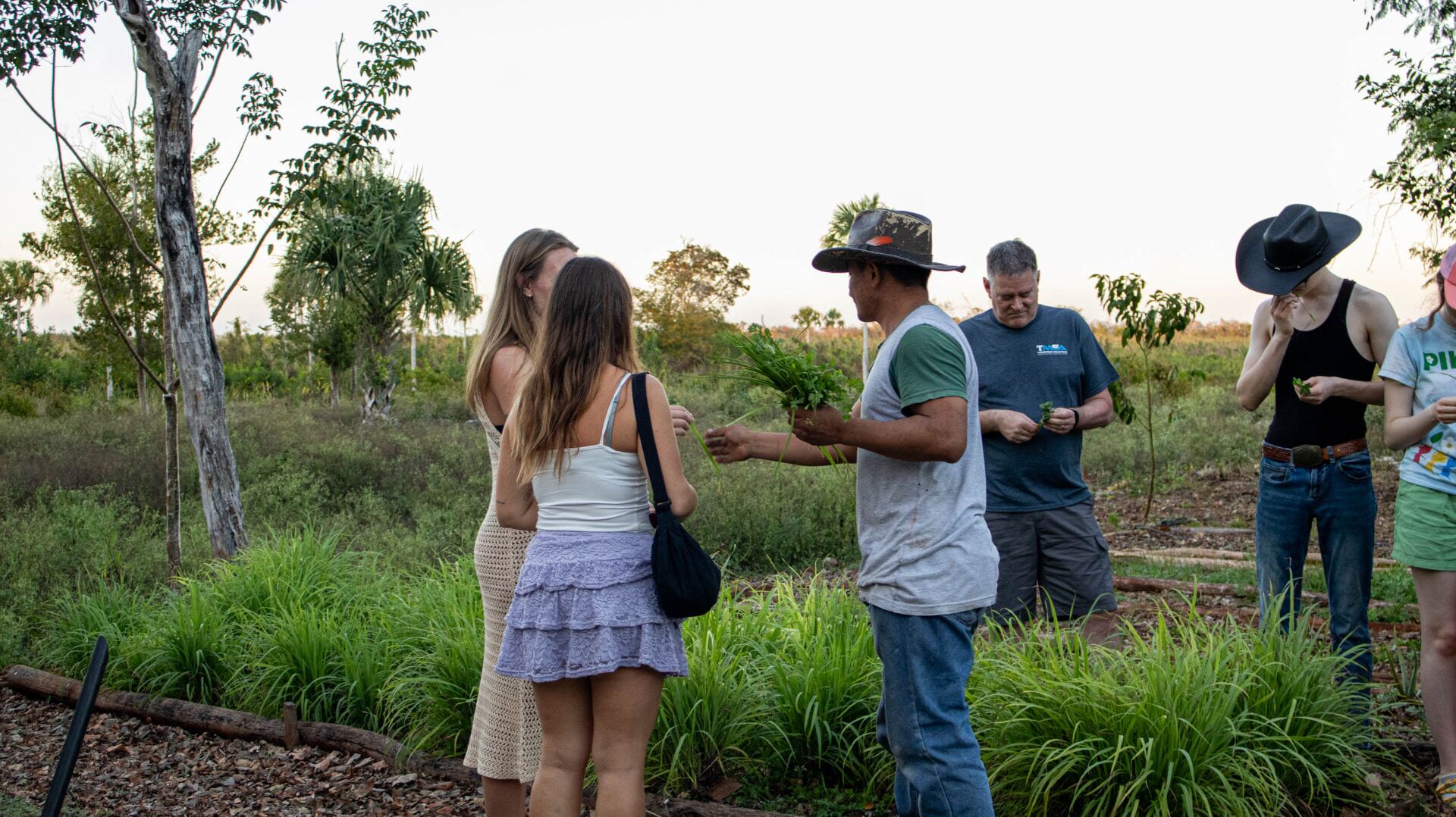 Recorrido por el solar con hierbas recién cortadas